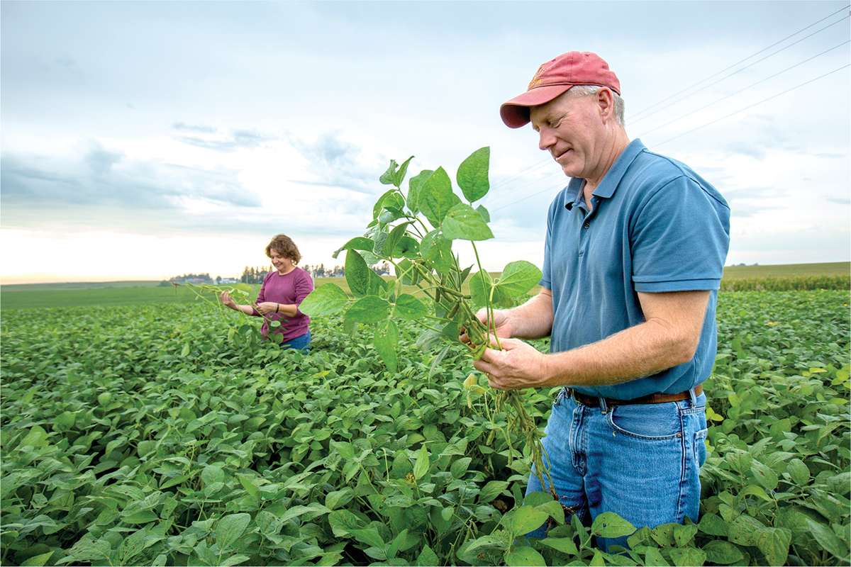 Photo courtesy of the United Soybean Board.