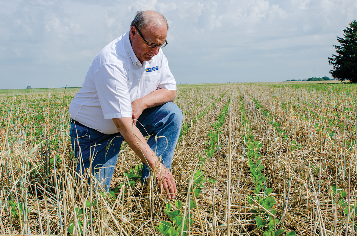 Wayne Fredericks, co-author of this article, has been farming fields in Mitchell County, IA near Osage since the mid-1970s. Using his experiences as a backdrop, this article focuses on what actually happens in the soil along the journey of change in corn and soybean systems. Photo by Joseph L. Murphy/Iowa Soybean Association.