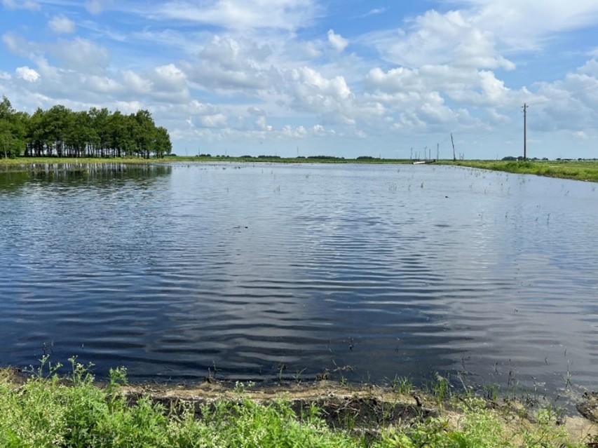FigureÂ 7. Submerging of soils to prevent soil loss. Photo courtesy ofÂ Suraj Melkani, UF/IFAS.