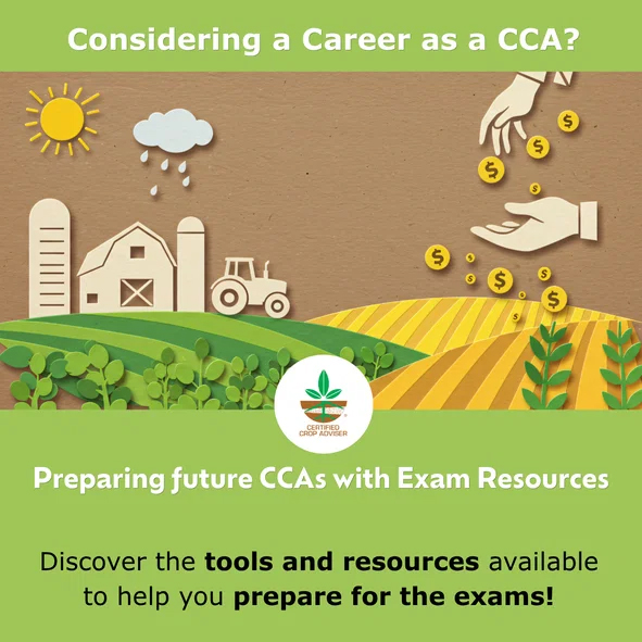 Considering a Career as a CCA?