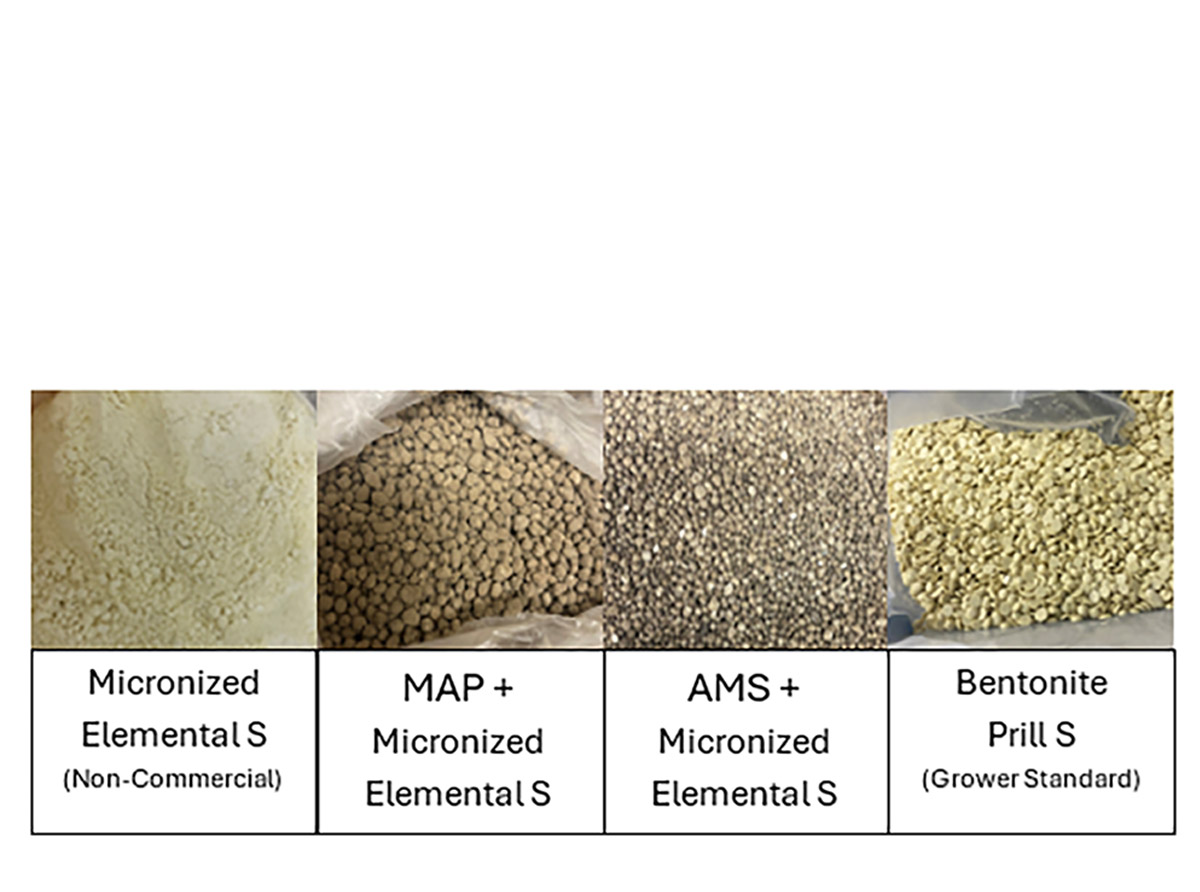 Figure 1. Elemental S sources evaluated, illustrating particle size and granulation effects on S oxidation potential. 