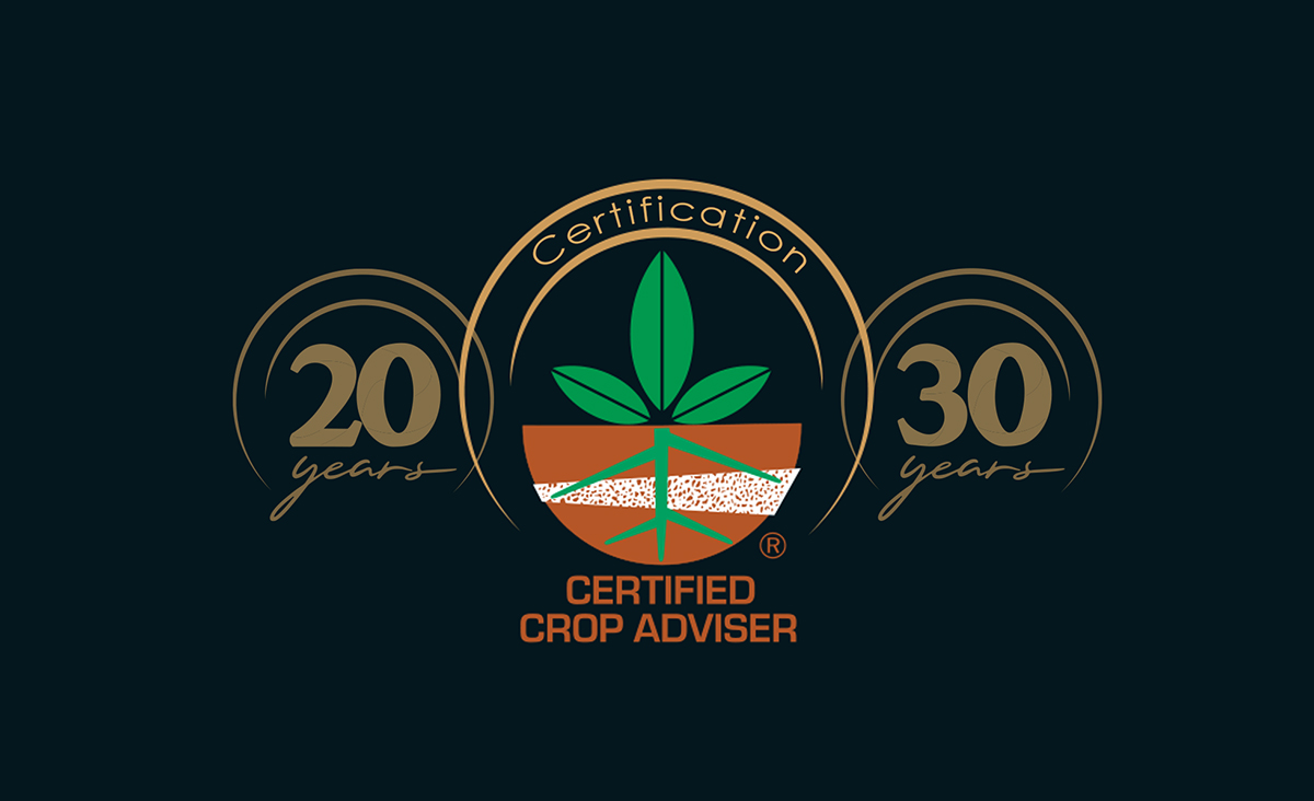 CCA Certification Milestones