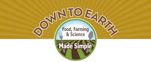 Down to Earth card image