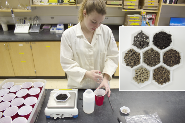 Amendments were mixed with soil, adjusted to optimum moisture, and incubated in plastic cups for 1, 3, 6, and 12 weeks.