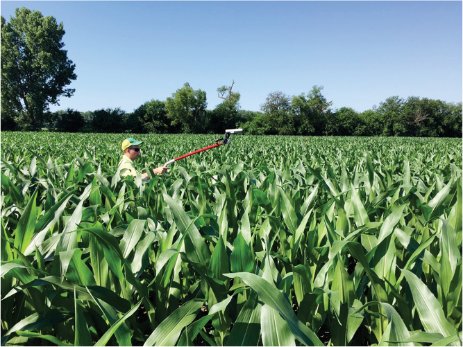 Dr. Curtis Ransom using a RapidSCAN (Holland Scientific, Lincoln, NE) to collect corn canopy reflectance measurements in hopes of determining corn N fertilizer need. This particular sensor uses three different wavebands of light (visual, red edge, and near infrared) to measure corn N stress. Photo courtesy of Dr. Mac Bean.