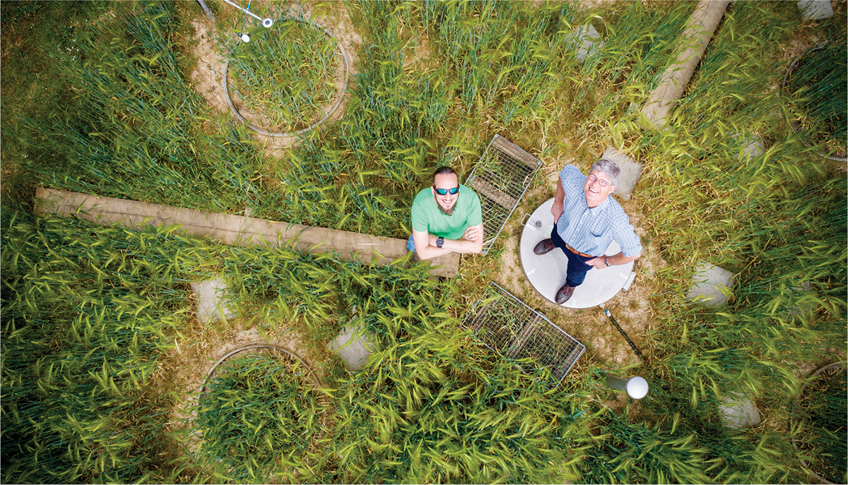 Jannis Groh (left) and Thomas Pütz at the experimental lysimeter site that belongs to the TERrestrial ENviromental Observatories (TERENO)-SOILCan lysimeter network. Photo by Forschungszentrum Jülich/Sascha Kreklau.