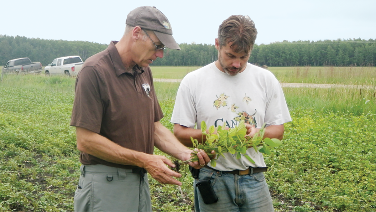 CCA John Heard (left) working with a grower.