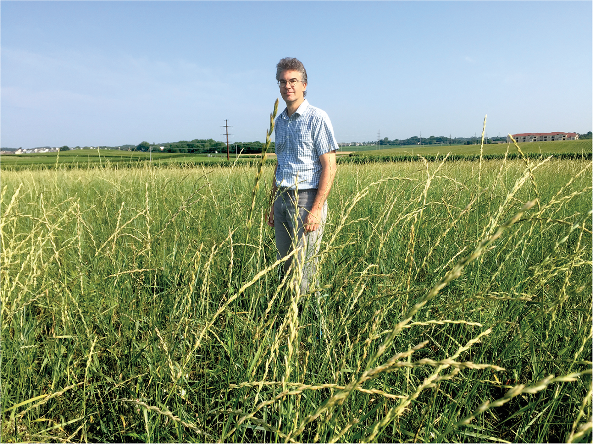 Professor Valentin Picasso stands in a Kernza field. Photo courtesy of the lab of Valentin Picasso, University of Wisconsin–Madison.