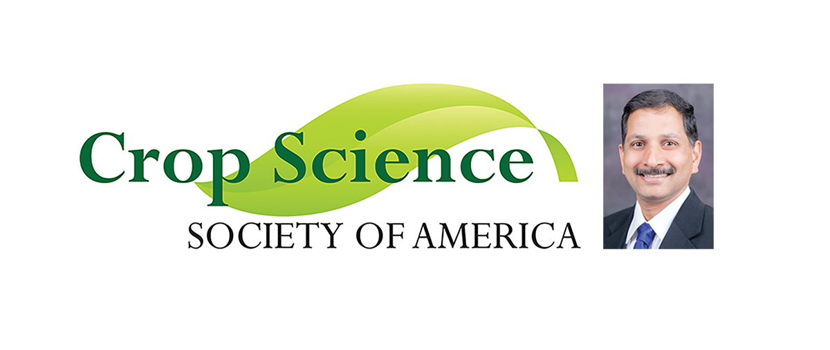 CSSA President Logo