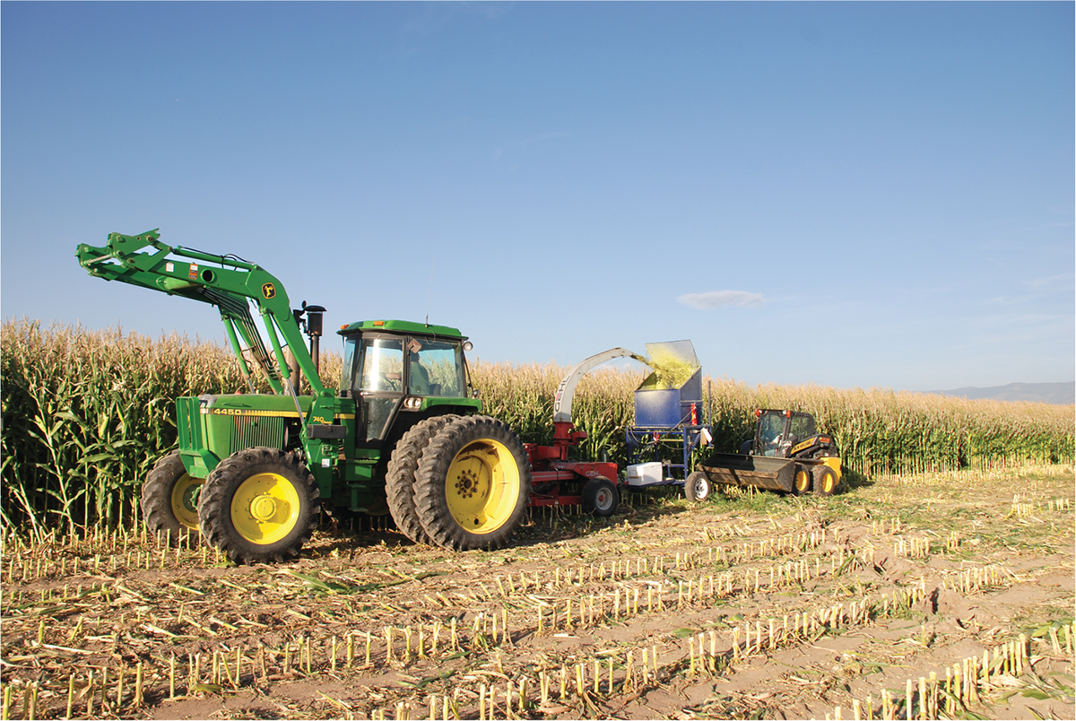 Researchers harvesting silage corn plots in a study looking at tillage, herbicide, and corn fertilizer N rate. Photo by Jason Clark.