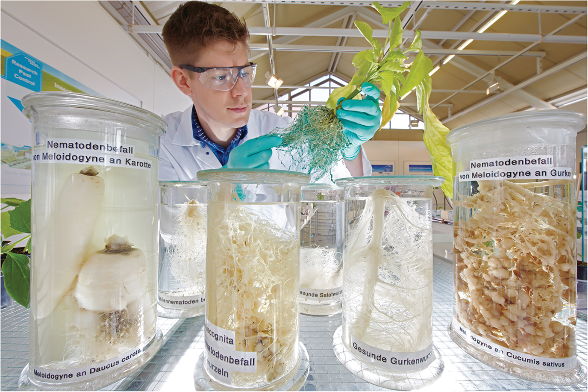 Another traditional career path is going to work in industry, like this Bayer scientist shown here. Photo courtesy of Bayer AG.