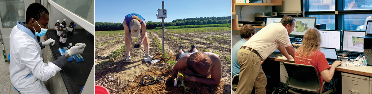 Our members are working to solve complex problems. From l to r: Extracting DNA to be used for genotyping, installing soil water potential sensors, and using modeling to predict yields and soil water and nitrogen dynamics. Photos courtesy of Aduragbemi Amo, Sayantan Sarkar, and Tracy Schlater.