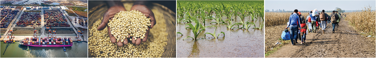 Trade disruptions, reduced amounts of stored food, climate change, instability in some countries' governments, and the limited availability of critical resources may be creating a perfect storm that could result in an inability to meet the world's food requirements. Photos courtesy of Flickr/JAXPORT, Flickr/USAID, Adobe Stock/JJ Gouin, and Adobe Stock/Ajdin Kamber.