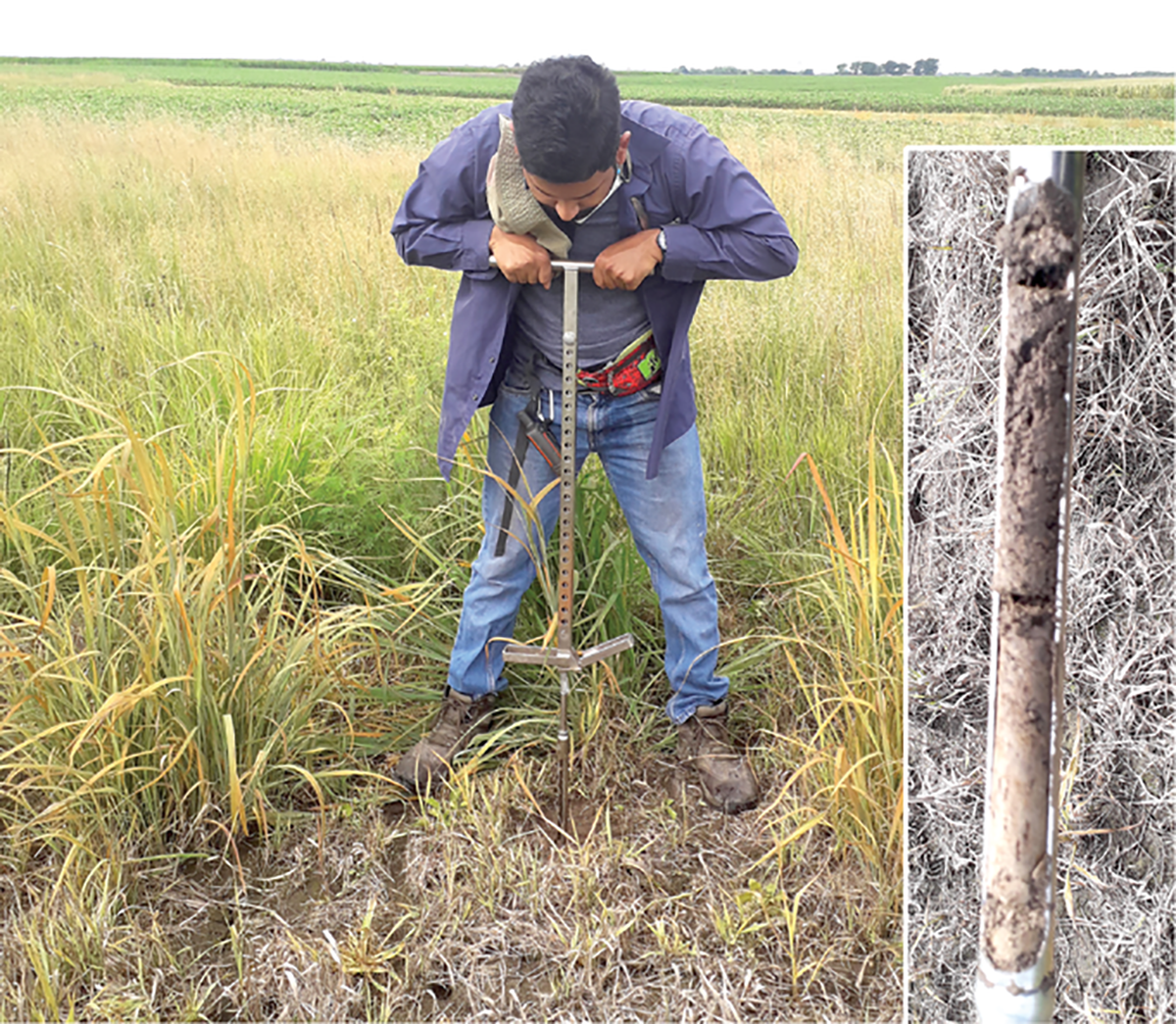 Miguel Salceda collects a soil sample using a push probe from watersheds at the Greenley Jr. Research Center of the University of Missouri. Inset: Soil sample from the 0- to 10- (top) and 10- to 20- (bottom) cm depth. Photos courtesy of Miguel Salceda.