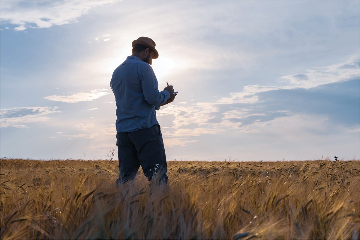 Solving today’s problems requires the expertise of CSSA, SSSA, and ASA members. Photo courtesy of Adobe Stock/metelevan.