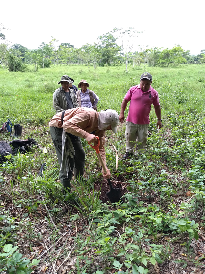 Soil sampling