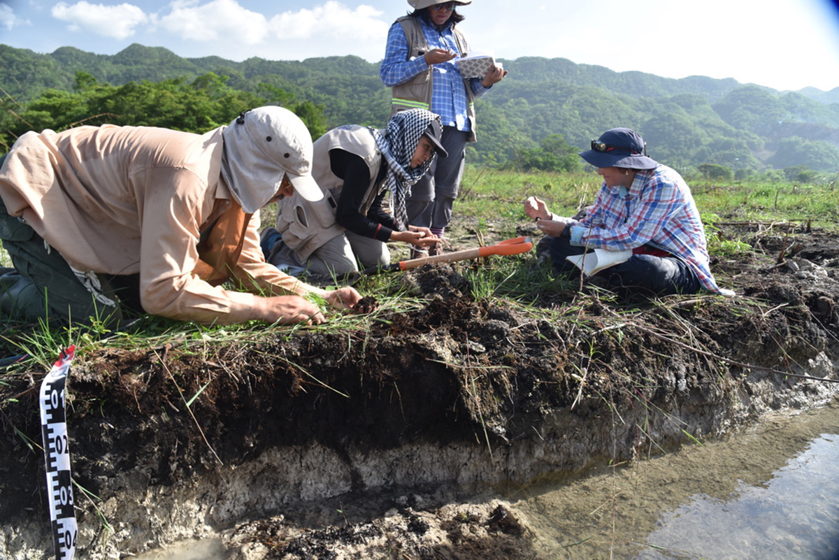 Scientists study a soil profile in a modern channel in the area of Canan in Mexico. The team did similar work at the ancient Maya site of Budsilhá. Photo by Jaime Díaz.