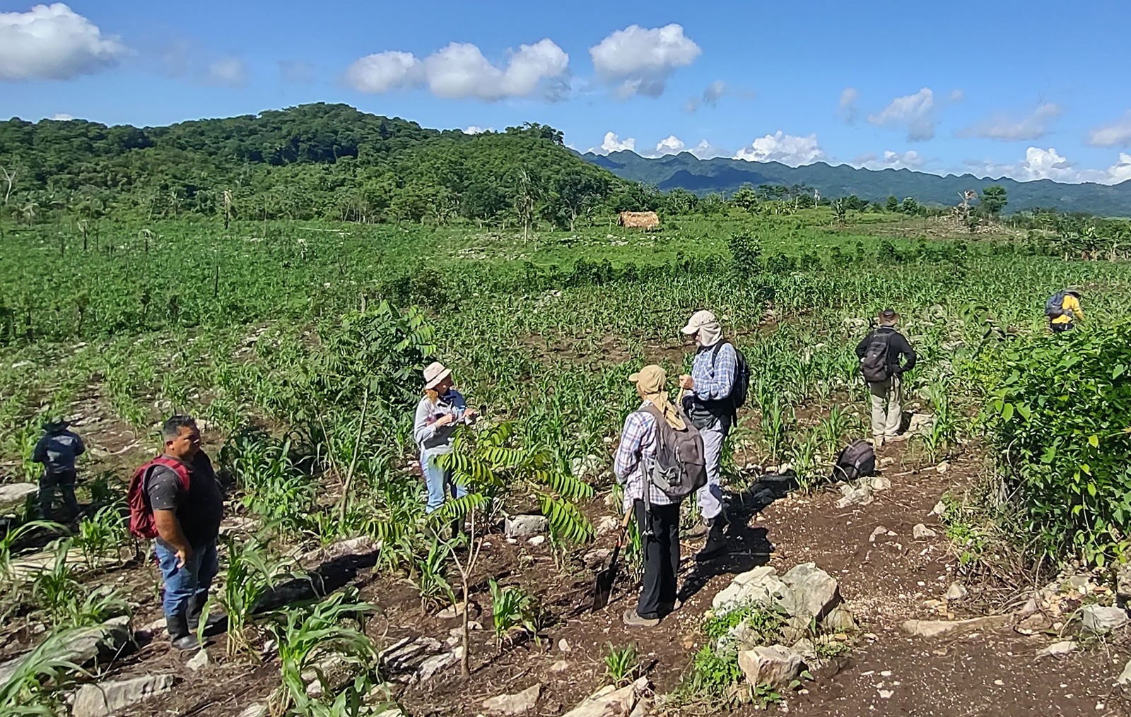 Archaeological teams survey the terraces of the Rancho Nuevo