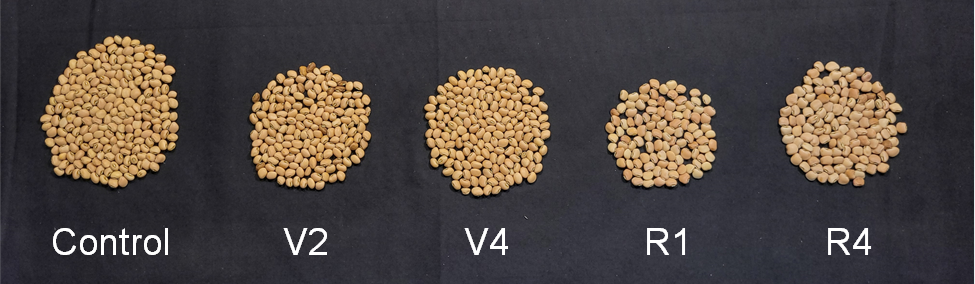 Resilience of cowpea to drought stress at nodulation initiation (V2),Â branching (V4), flowering (R1), and seed fill (R4)