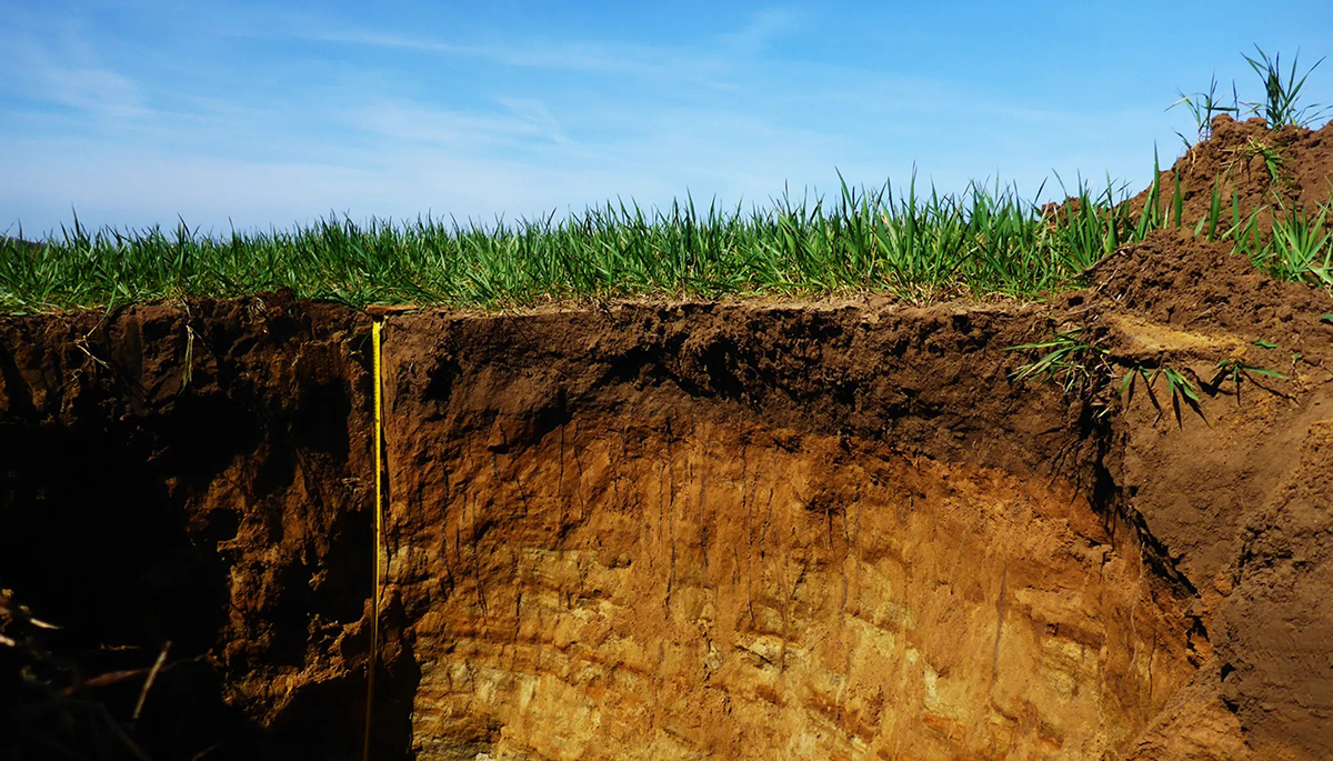 Transition from bedrock to topsoil on a farm in the United Kingdom. Photo courtesy of Daniel Evans.