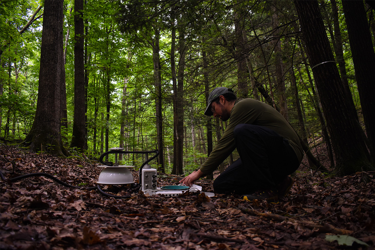 Undergraduate research assistant Keean Mansour manages an automated soil respiration chamber in a Pennsylvania forest. Photo courtesy of Timmy Stehmen.