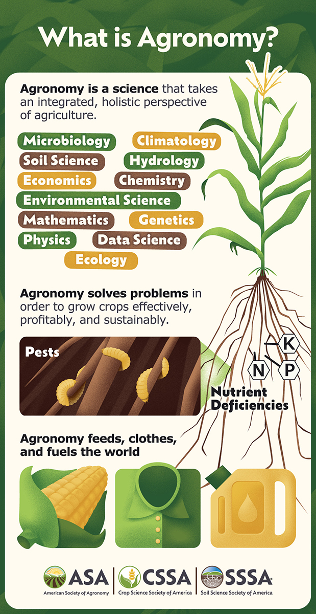 Infographic by Jason Clausen, graphic designer.