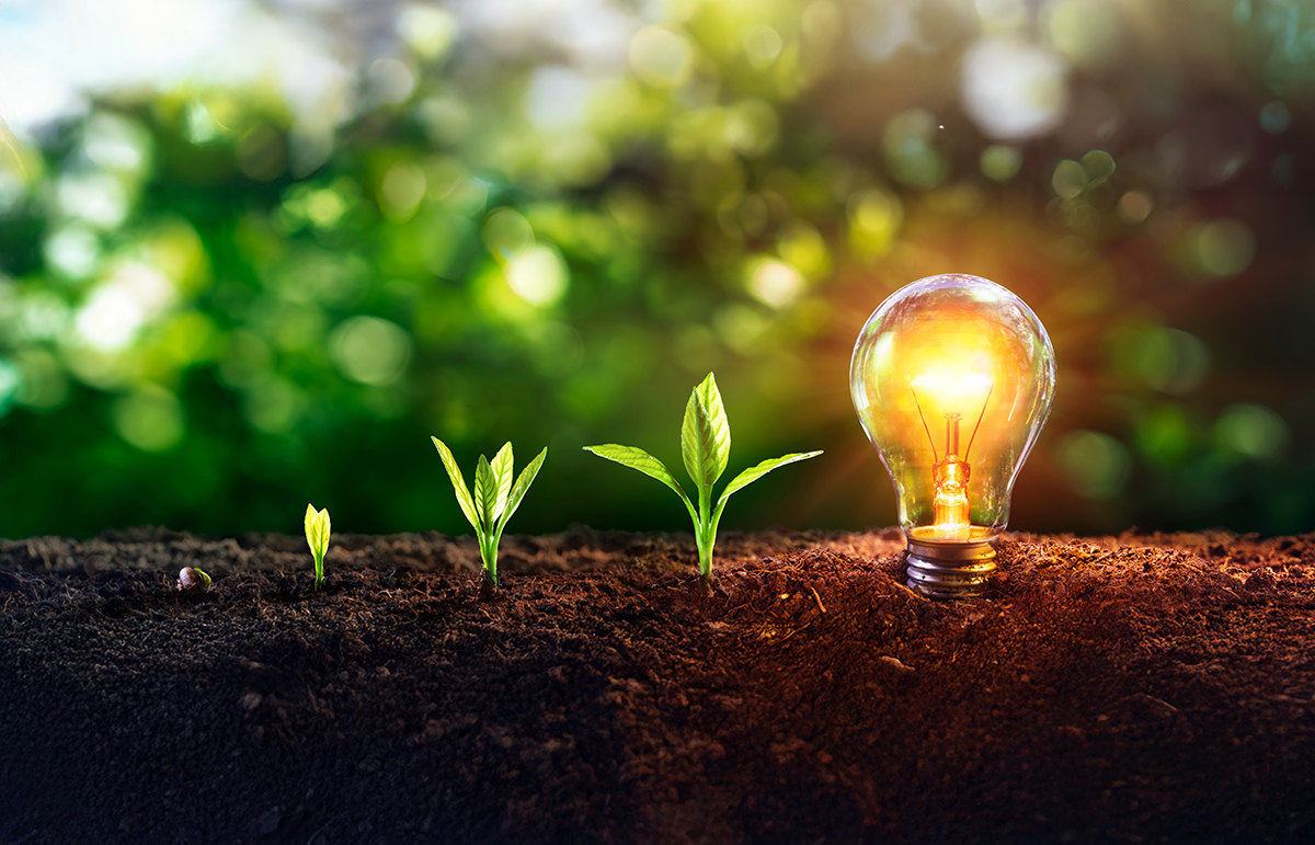 Image courtesy of Adobe Stock/	Romolo Tavani. 