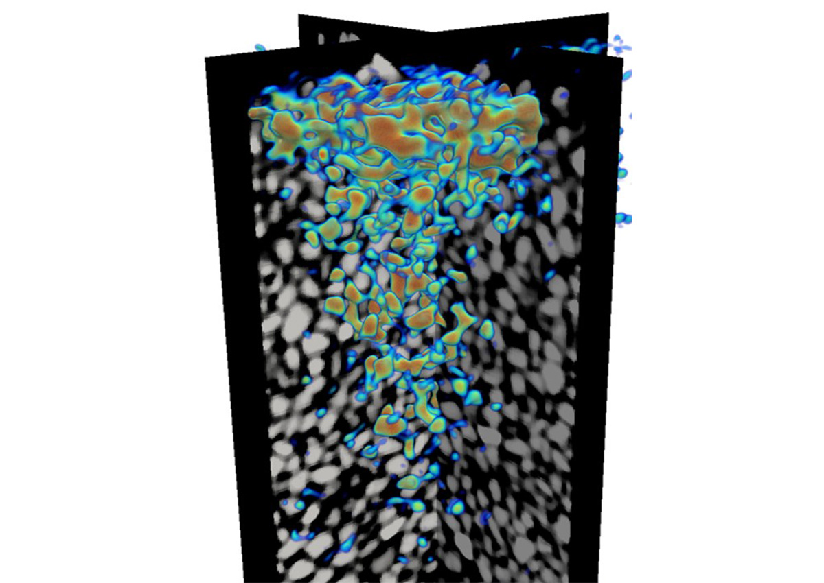 Imaging of microplastic (blue to red indicating increasing concentrations) in a sandy soil as seen by combining x-ray and neutron tomography. Image courtesy of Andreas Cramer.