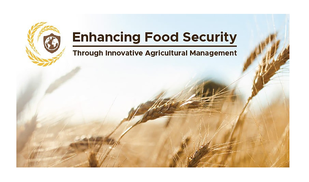 Enhancing Food Security through Innovative Agricultural Management