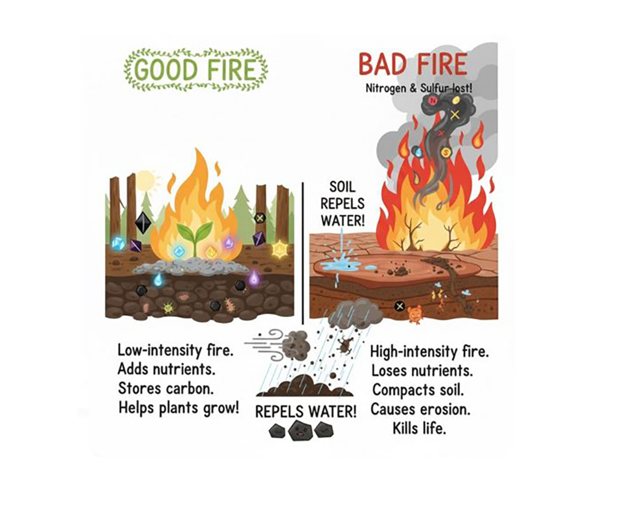This illustration is part of the "Soils and Fire" featured topic on the Soils4Teachers.org website. Credit: Olubunmi Faturoti.