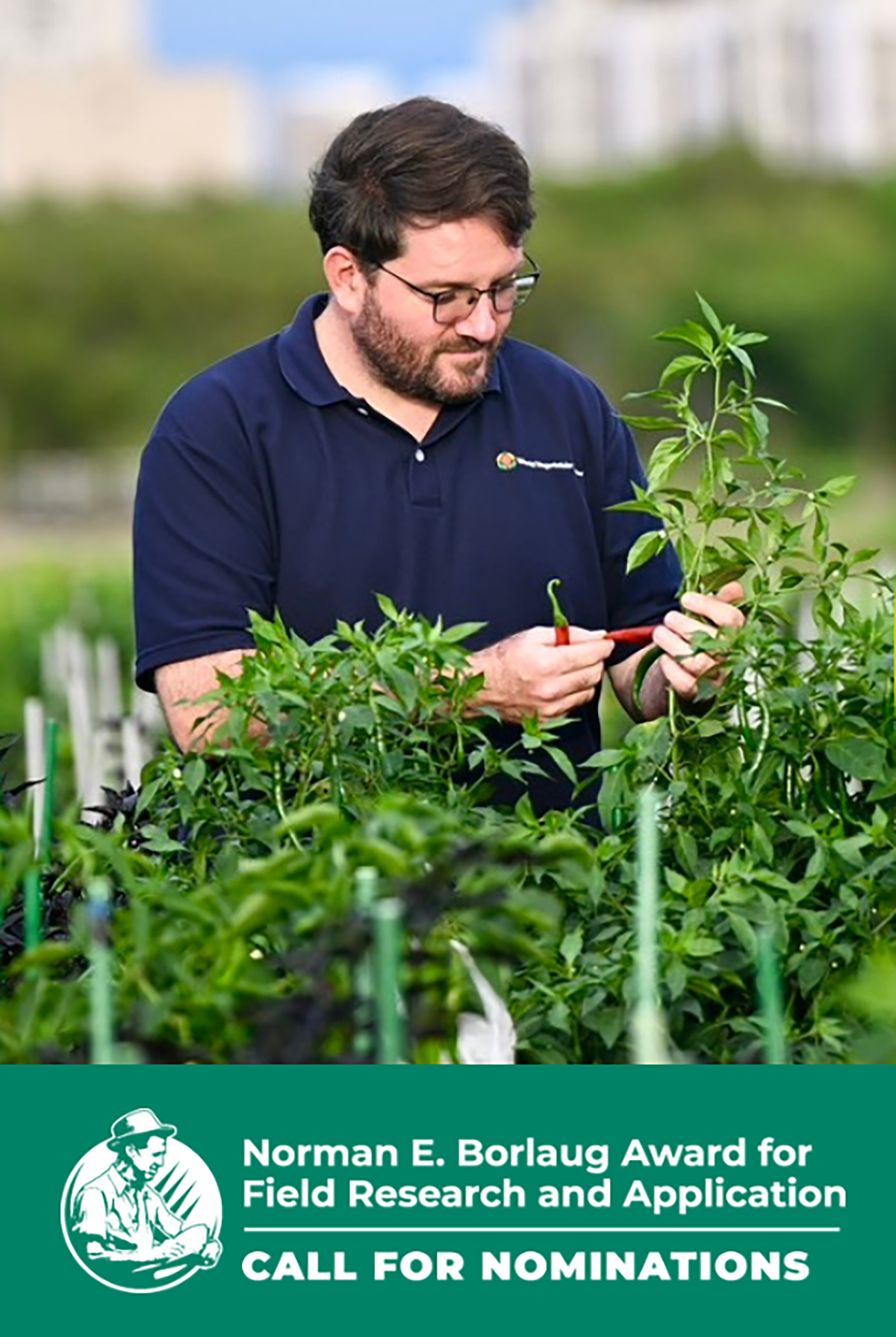 Borlaug Field Award