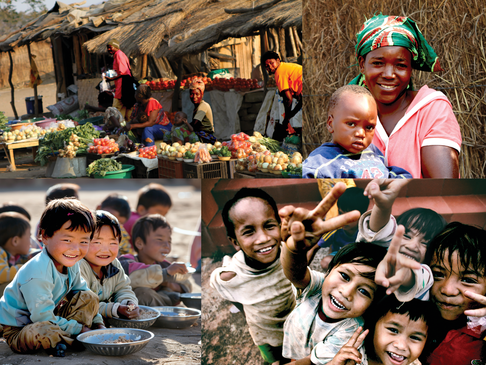 Biofortification of food crops with essential minerals and vitamins is a critical need in many parts of the world. Photos from Dr. Terry Tindall and other sources.