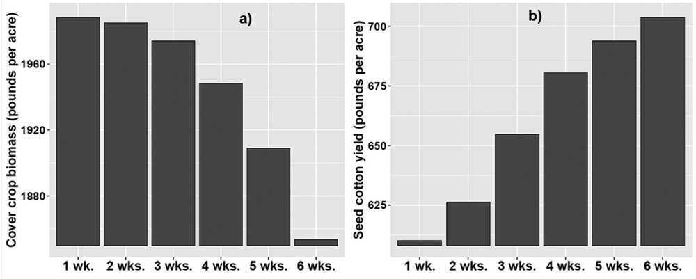 Figure 4. Hairy vetch biomass (a) and seed cotton yield (b) in the simulated 25-year scenario.