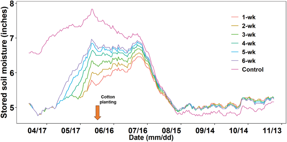 Figure 5. Soil water storage (0- to 2.6-ft depth) under different termination times of hairy vetch.
