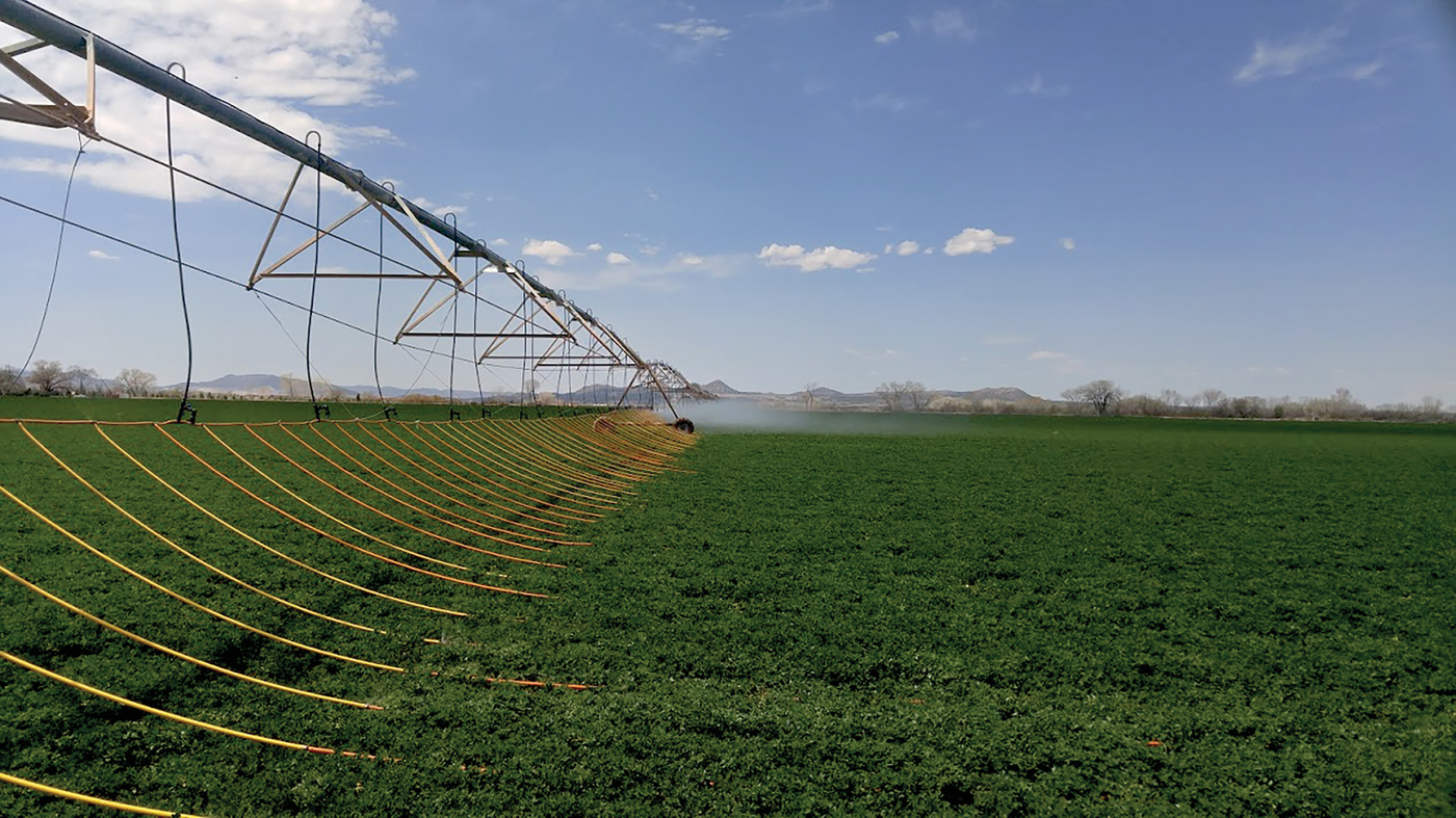 The mobile drip irrigation (MDI) in the foreground was compared with the mid-elevation spray application (MESA) in background at the trial near Cedar City. Irrigation wind drift can be eliminated with MDI, as seen by less water in the air in the foreground.