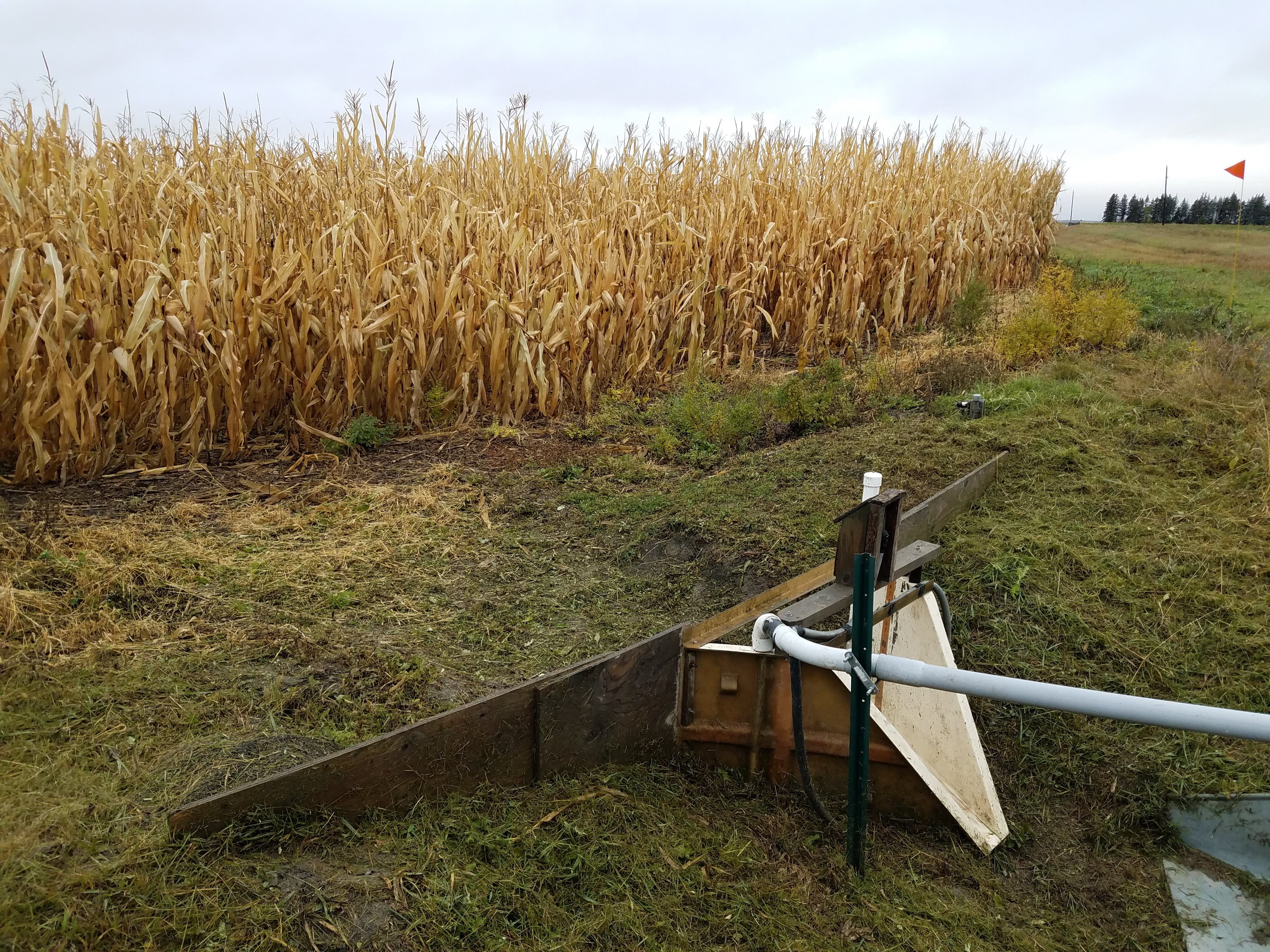 Edge-of-field monitoring helps capture and analyze field runoff continuously, rather than readings being taken periodically. Photo courtesy of Lindsay Pease.