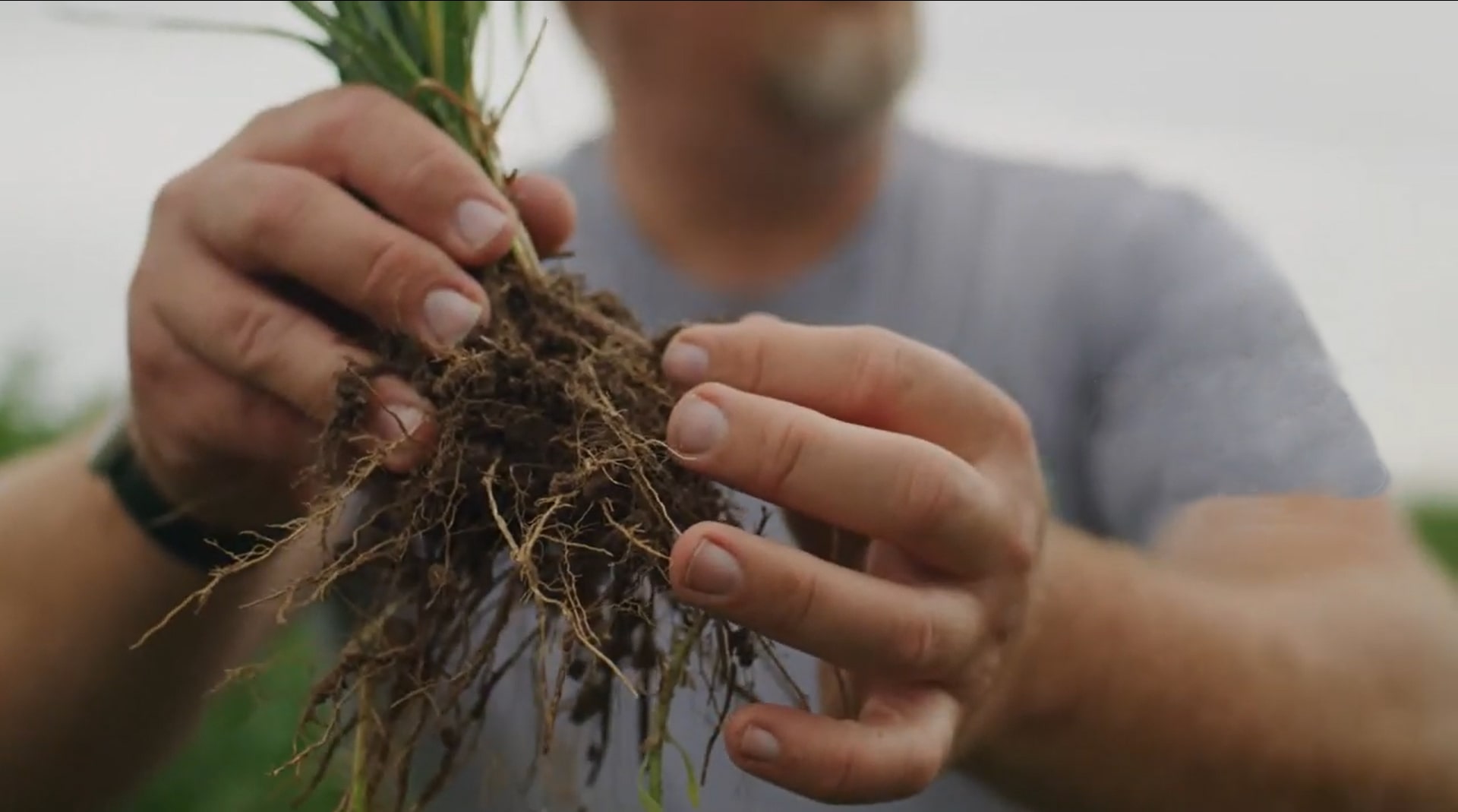 Maintaining living roots in the soil is a key soil health practice. Screenshot from this video by the Utah Soil Health Partnership