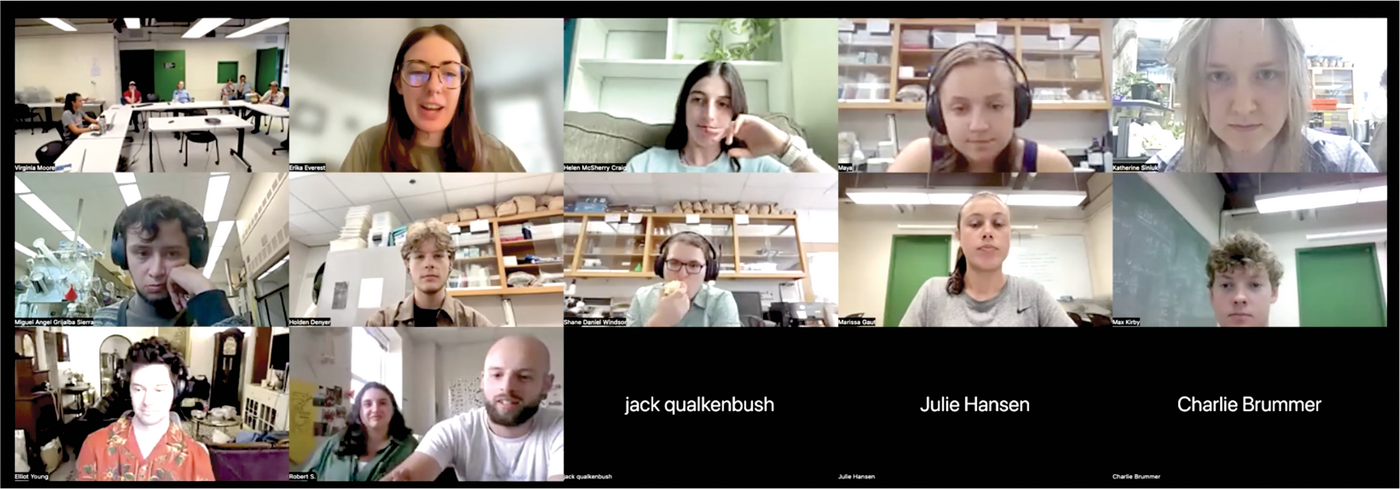 Undergraduate and graduate students participating in the Resilience Coordinated Agriculture Project (RCAP) at an online forum meeting during the summer of 2024.