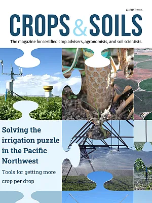 August 2026 CRSO cover