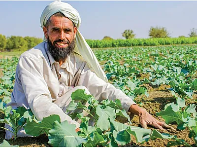 Individuals living outside of North American will now how have a greater opportunity to become certified through the ICCA Program. Photo courtesy of USAID/Afghanistan.