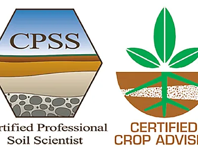 CPSS and CCA