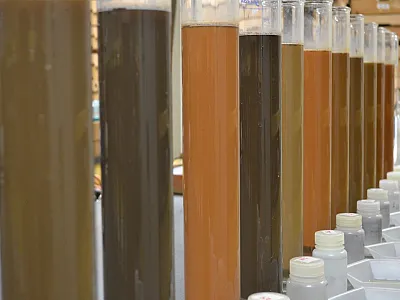 Suspensions of soil from different farms in North Carolina to determine clay concentration