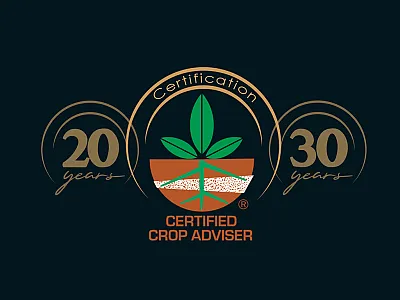 CCA Certification Milestones