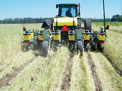 Planting corn into rye residue under conservation tillage. Photo courtesy of Jeff Novak, USDA-ARS.