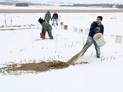 Laxmi R. Prasad (foreground), a postdoctoral research associate at the University of Wisconsin–Madison and first author on the study, applies dairy manure on snow-covered frozen soil at the University of Wisconsin Arlington Agricultural Research Station to study runoff nutrient losses. Photo by Rachel Johnson and Edward Boswell.