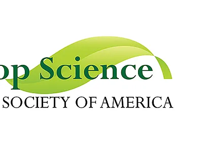 CSSA