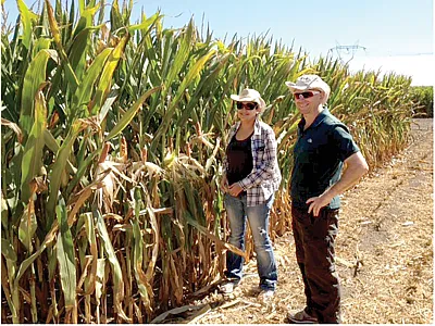 Carla Gho (left) of Corteva Agriscience and Mark Cooper of the Queensland Alliance for Agriculture and Food Innovation during in AQUAmax(R) field trials in Viluco, Chile. Photo by Charlie Messina.