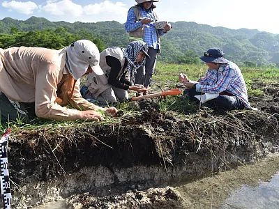 Scientists study a soil profile in a modern channel in the area of Canan in Mexico. The team did similar work at the ancient Maya site of Budsilhá. Photo by Jaime Díaz.