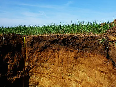 Transition from bedrock to topsoil on a farm in the United Kingdom. Photo courtesy of Daniel Evans.