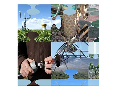 Photo credits: Top row (l to r): University of Idaho, Jemila Chellappa, and Doug Wilson (USDA-ARS). Bottom row: Vicky Boyd.